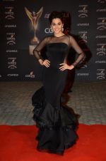 Taapsee Pannu at the red carpet of Stardust awards on 21st Dec 2015